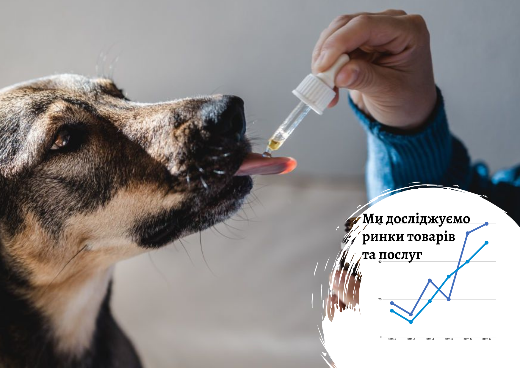 Ukrainian veterinary drugs market – research report